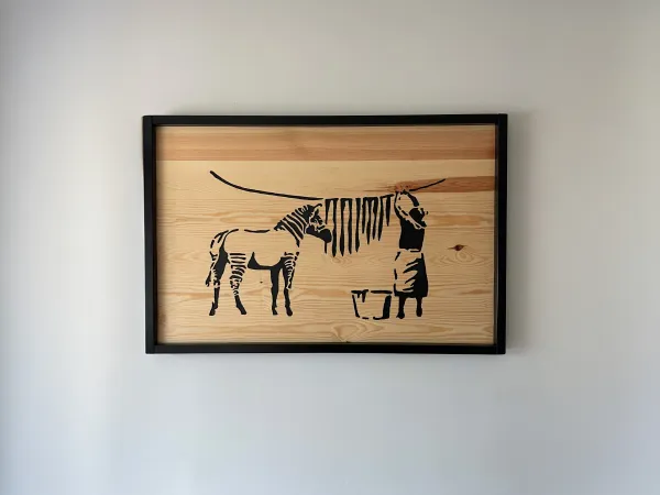 Zebra having coat washed