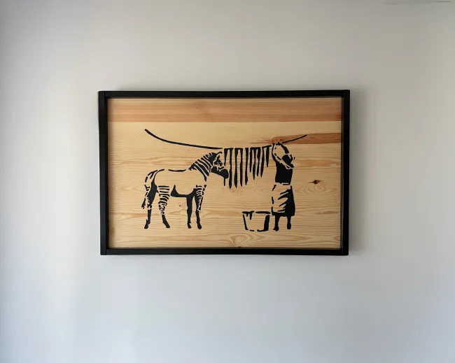 Zebra having coat washed